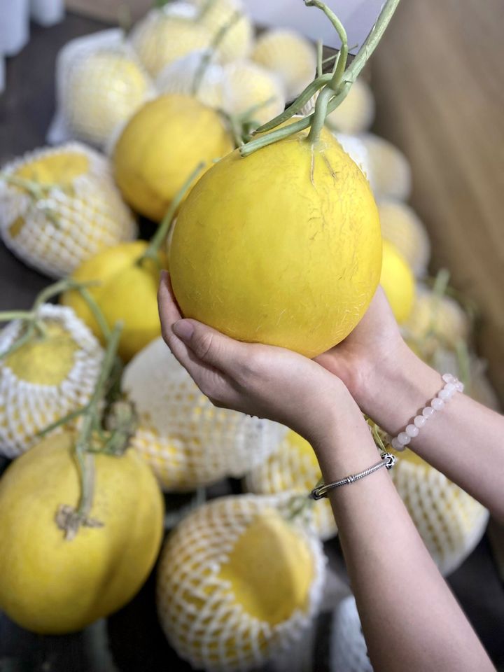 DƯA KIM HOÀNG HẬU T-FARM
