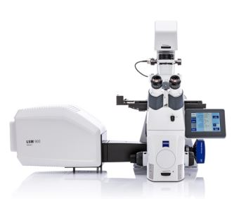 Tham gia trải nghiệm công nghệ hình ảnh đồng tiêu siêu phân giải trên kính hiển vi đồng tiêu ZEISS LSM Airyscan