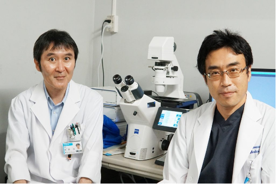 MicroRNA có thể là mục tiêu để điều trị béo phì