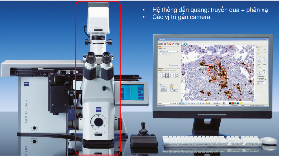 Hệ thống vi tách mẫu PALM MicroBeam