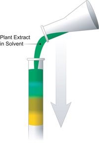 Tswett chromatography experiment