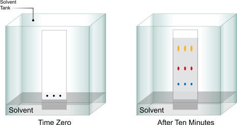 thin-layer chromatography