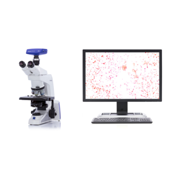Kính hiển vi soi thẳng - Axiolab 5