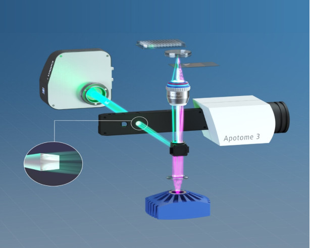 ZEISS Apotome - Cắt Lớp Quang Học Sử Dụng Phương Thức Chiếu Sáng Theo Cấu Trúc